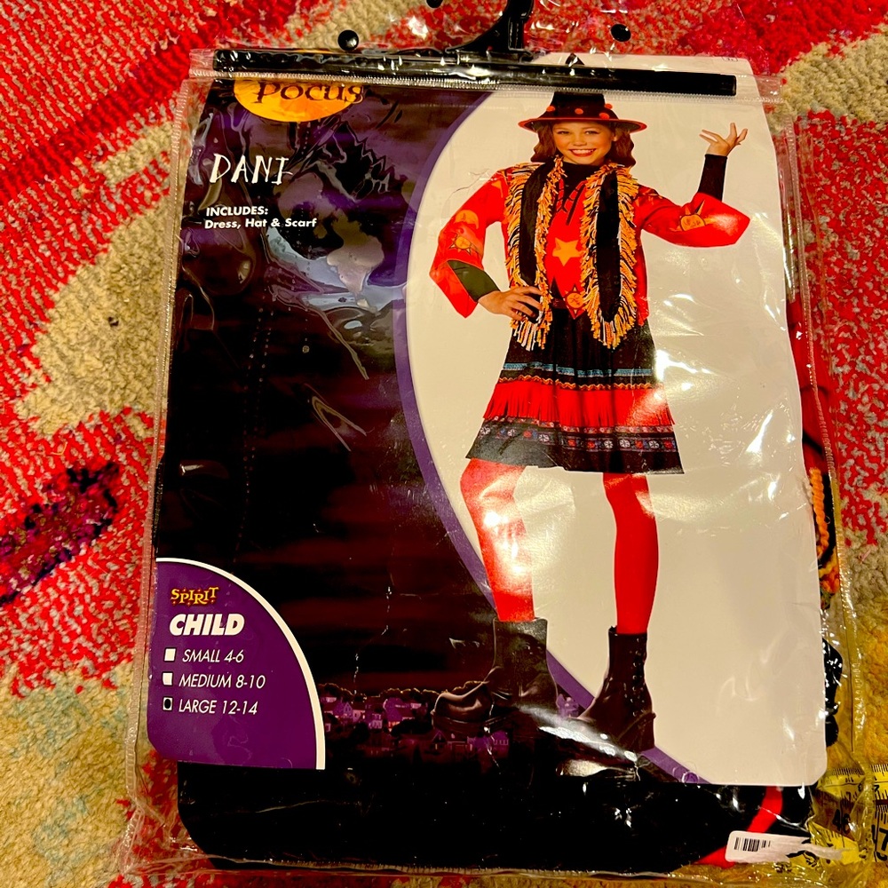 Hocus Pocus Dani Costume